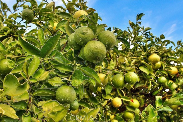 Detail Gallery Image 30 of 59 For 9200 Westminster Bld #35,  Westminster,  CA 92683 - 3 Beds | 2 Baths