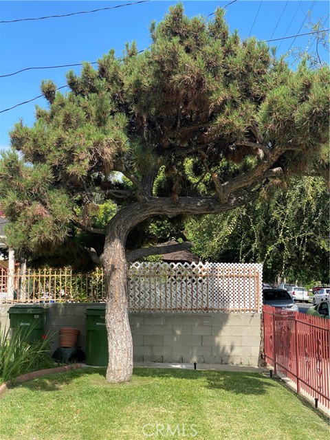11843 Hamlin Street photo 2