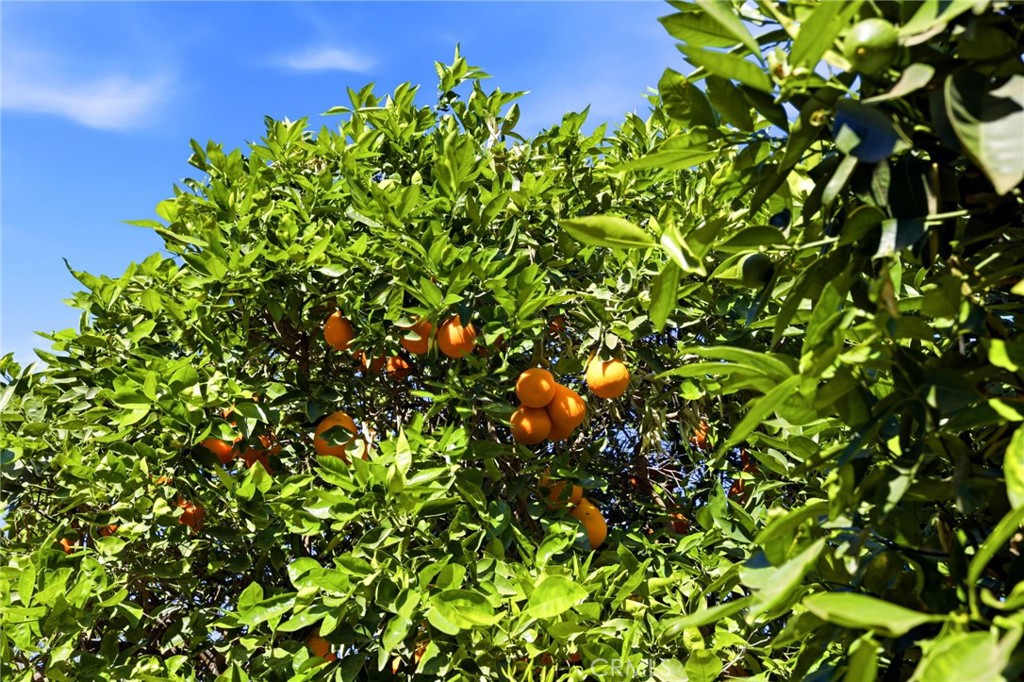 https://media.crmls.org/medias/ea13cd9f-0808-4934-bbea-b44905b2d8a7.jpg?preset=X-Large