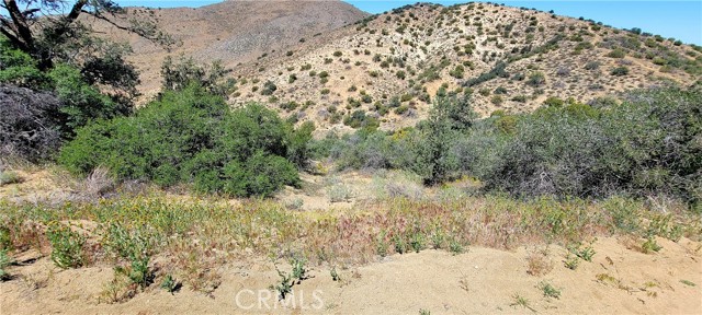 0 Vac/Vic Oracle Hills/Dusty Trail, Acton, California 91350, ,Land,For Sale,0 Vac/Vic Oracle Hills/Dusty Trail,CRSR24027628