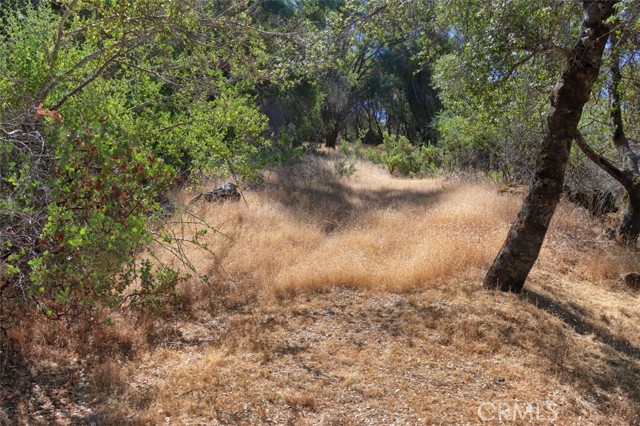 Detail Gallery Image 12 of 13 For 6 Italian Creek Rd, Mariposa,  CA 95338 - – Beds | – Baths