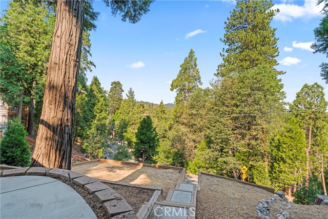 Detail Gallery Image 42 of 53 For 101 State Highway 173, Lake Arrowhead,  CA 92352 - 3 Beds | 3 Baths