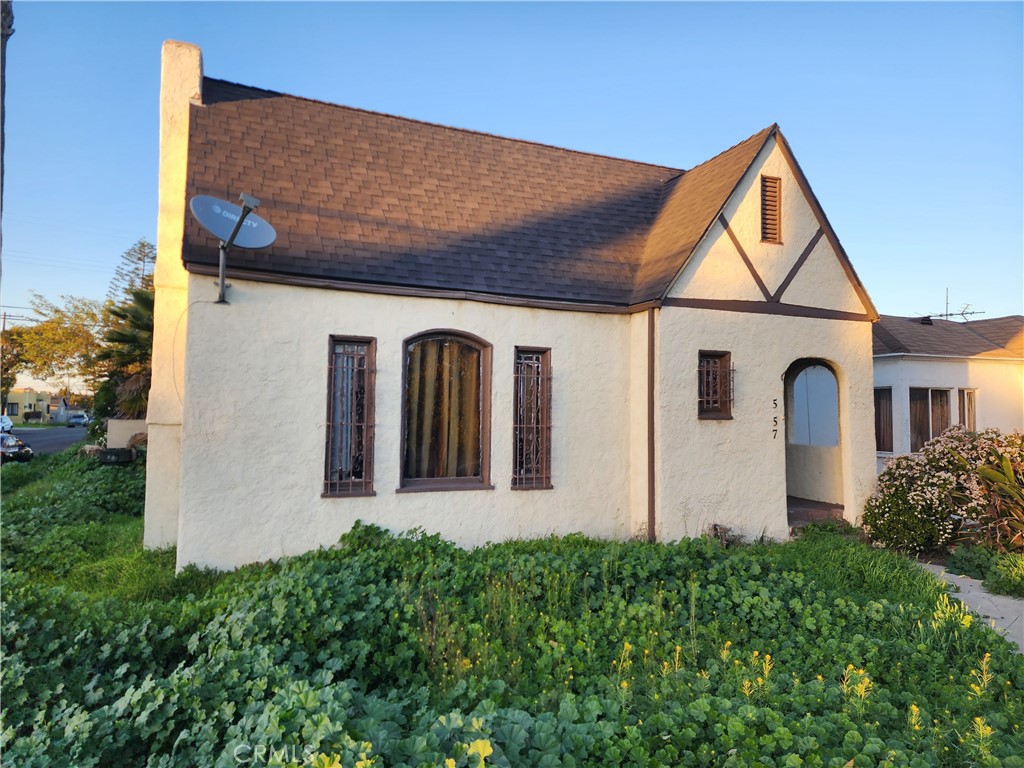 557 W 113th Street, Los Angeles, CA 90044
