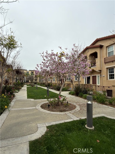 Front Image Thumbnail for CROC26067019