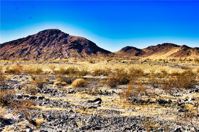Detail Gallery Image 9 of 42 For 75777 Riverside Rd, Newberry Springs,  CA 92365 - – Beds | – Baths