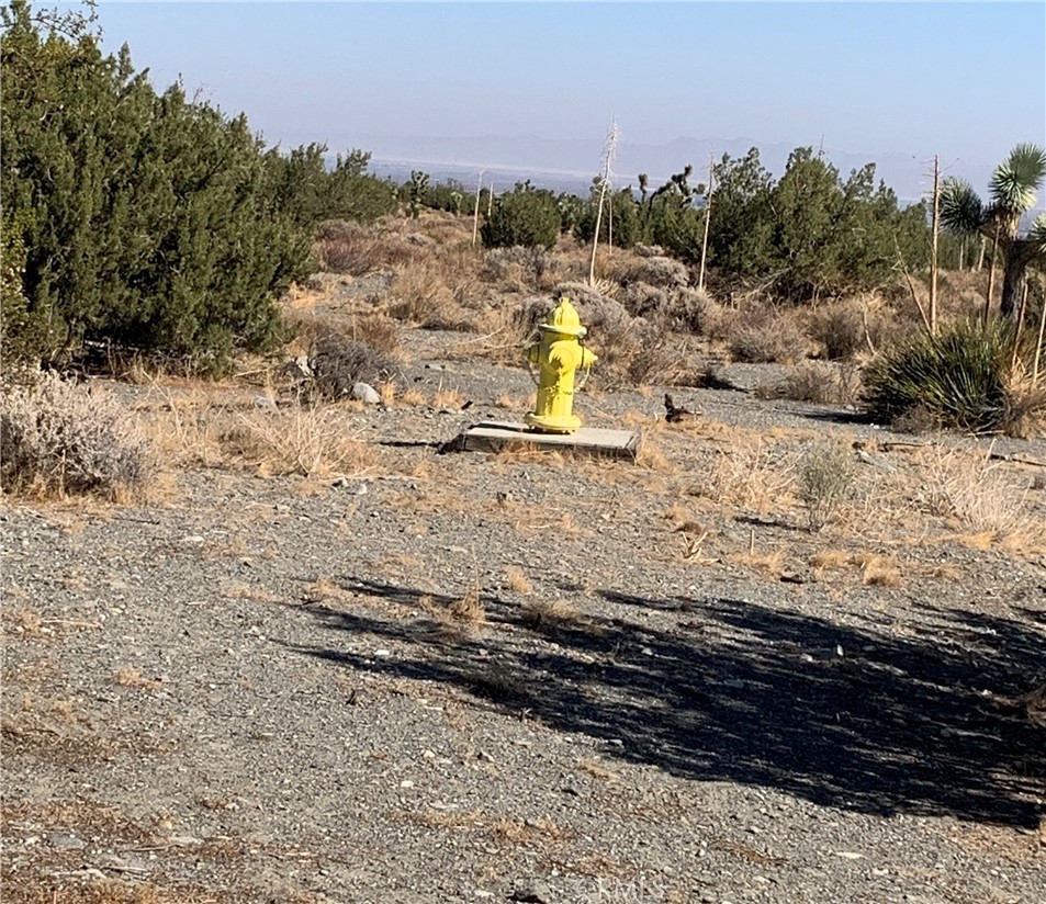 MLS #PW26152619 image #9
