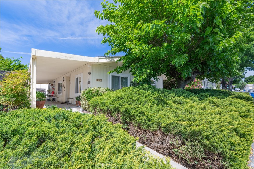 337 Lark Drive