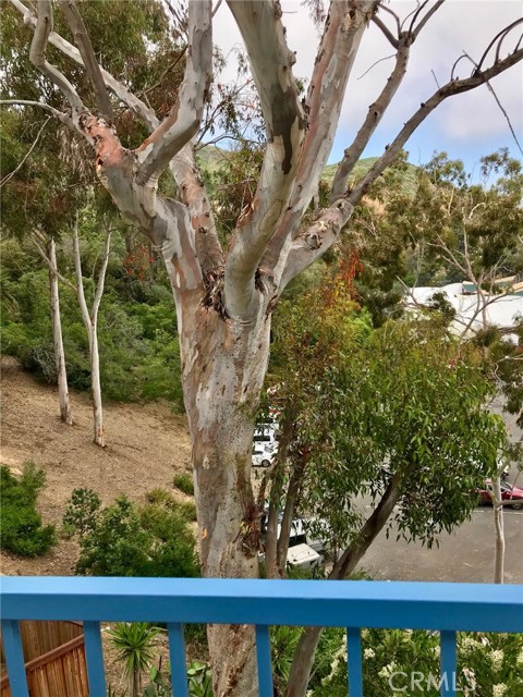 Front Image Thumbnail for CRLG25275252