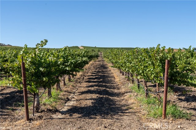 5790 Hog Canyon Road, San Miguel CA: https://media.crmls.org/medias/ea290448-c2f1-4e60-aeb9-a36b77b9332d.jpg