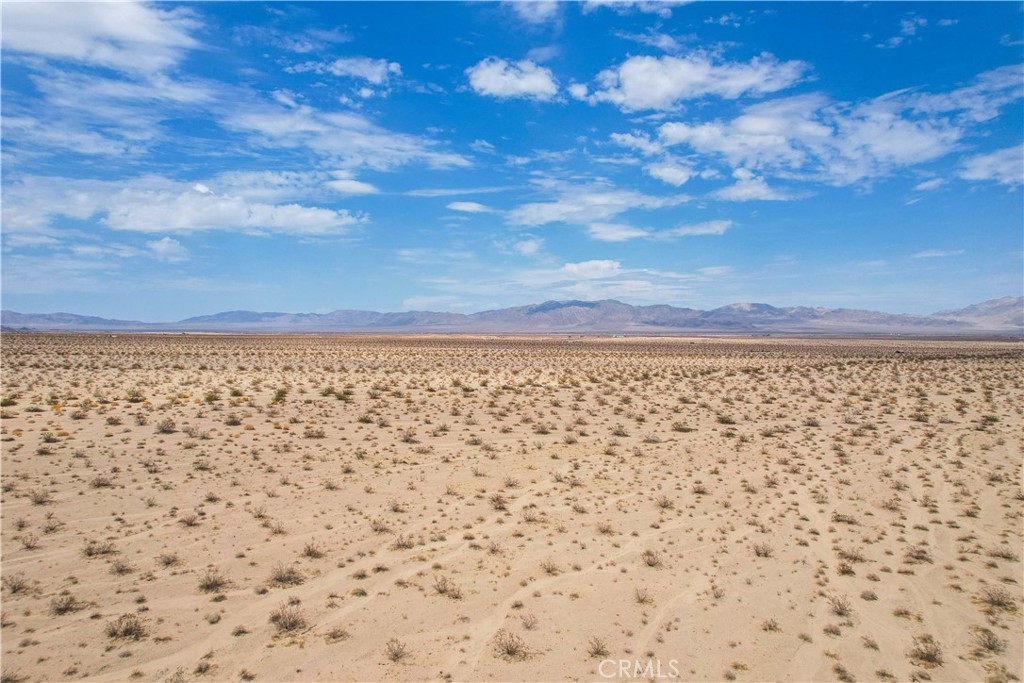 MLS #JT25081343 image #21