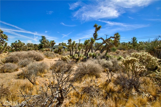 Detail Gallery Image 7 of 21 For 25 Lot 25 Joshua Dr, Yucca Valley,  CA 92284 - – Beds | – Baths