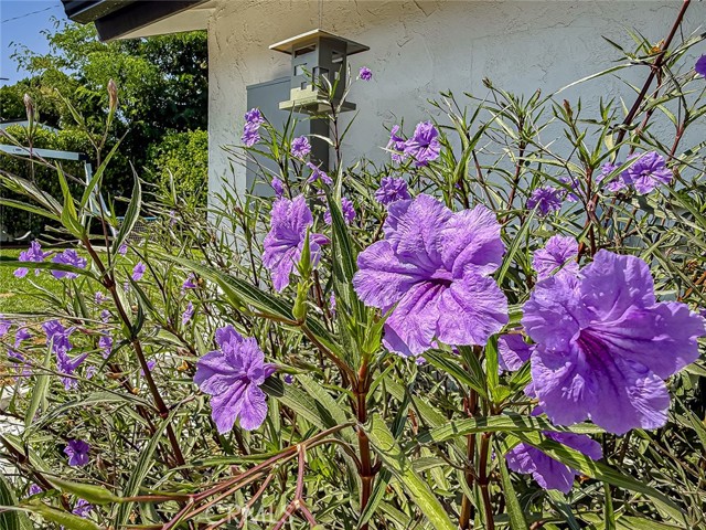 Detail Gallery Image 40 of 54 For 22245 Welby Way, Woodland Hills,  CA 91303 - 4 Beds | 3 Baths