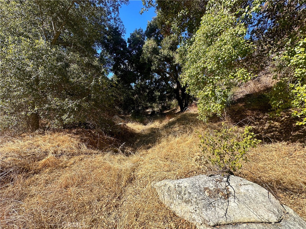https://media.crmls.org/medias/ea4174db-a147-4d84-b320-8a6d5baf787f.jpg?preset=X-Large