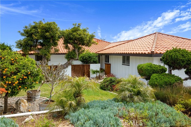 Grass front yard with privacy wall, gate, and fruit trees.