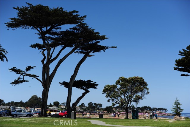 Detail Gallery Image 33 of 34 For 2308 Golden Oaks Ln, Monterey,  CA 93940 - 2 Beds | 1 Baths