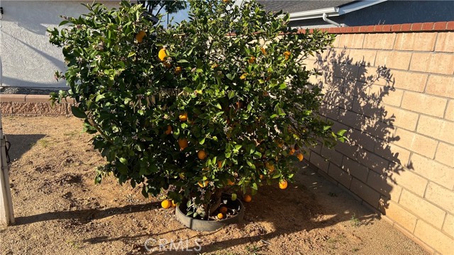 Detail Gallery Image 28 of 30 For 6441 Elena St, Chino,  CA 91710 - 3 Beds | 2 Baths