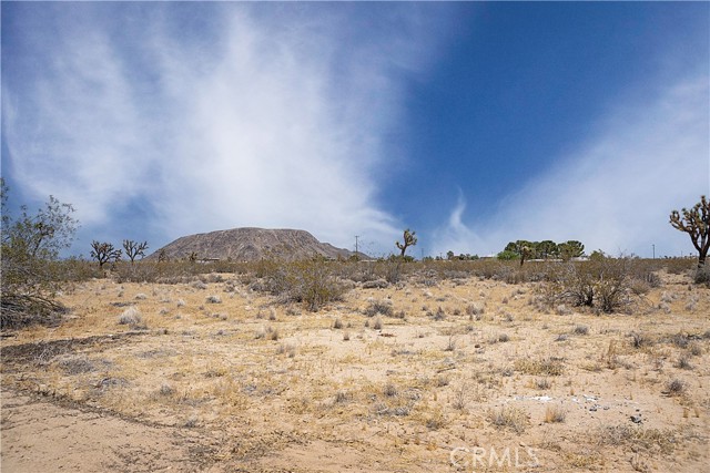 Image 3 for 1933 Rocky Acres Rd, Landers, CA 92285