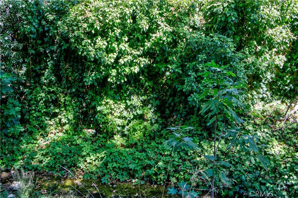 https://media.crmls.org/medias/ea5e6d9f-224e-4088-9df6-93aee9f050c6.jpg?preset=X-Large