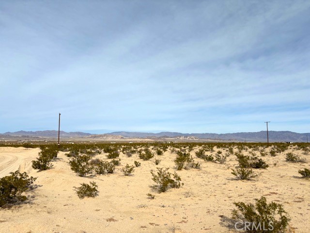 Detail Gallery Image 6 of 10 For 0 Primrose Ln, Twentynine Palms,  CA 92277 - – Beds | – Baths