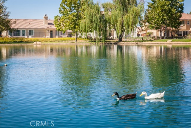 13025 Bowker Play Court, Beaumont CA: https://media.crmls.org/medias/ea5f9531-4310-4daa-bc90-b9a229f36c93.jpg