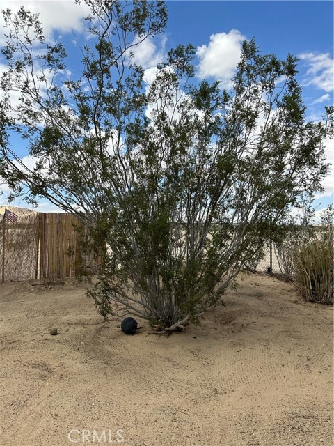 Detail Gallery Image 5 of 10 For 3925 Los Olivos Ave, Twentynine Palms,  CA 92277 - – Beds | – Baths