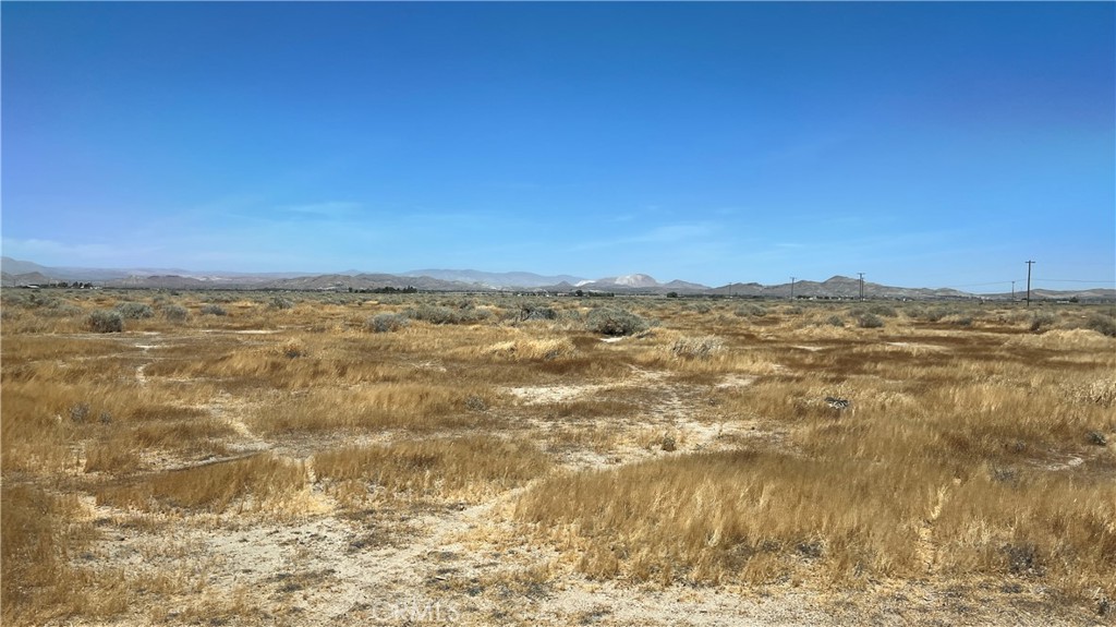 MLS #SR24128263 image #4