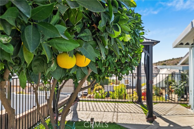 Detail Gallery Image 22 of 36 For 909 Richland Rd #52,  San Marcos,  CA 92069 - 2 Beds | 2 Baths