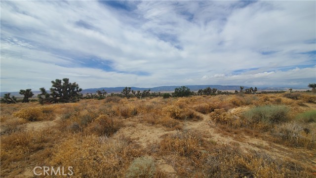 0 Vicinity Kingbird & 243rd St W, Rosamond, California 93560, ,Land,For Sale,0 Vicinity Kingbird & 243rd St W,CRSR23155108