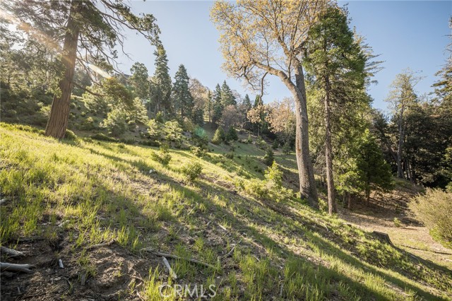 284 Hidden Forest, Lake Arrowhead, CA, 92352 284 Hidden Forest, Lake Arrowhead, CA, 92352