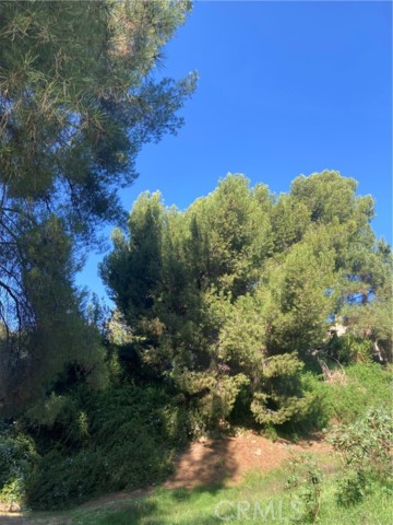 Detail Gallery Image 33 of 37 For 3633 Lavell Dr, Los Angeles,  CA 90065 - 1 Beds | 1 Baths