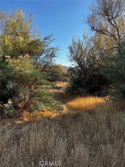 0 Fremont, Lake Elsinore CA: https://media.crmls.org/medias/ea7afa58-9bf7-4520-bc8a-44a7e88ae394.jpg