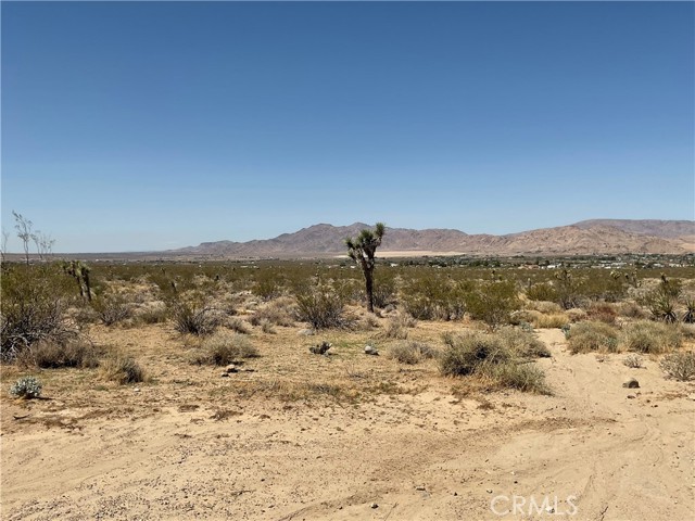 MLS #HD25230304 image #5