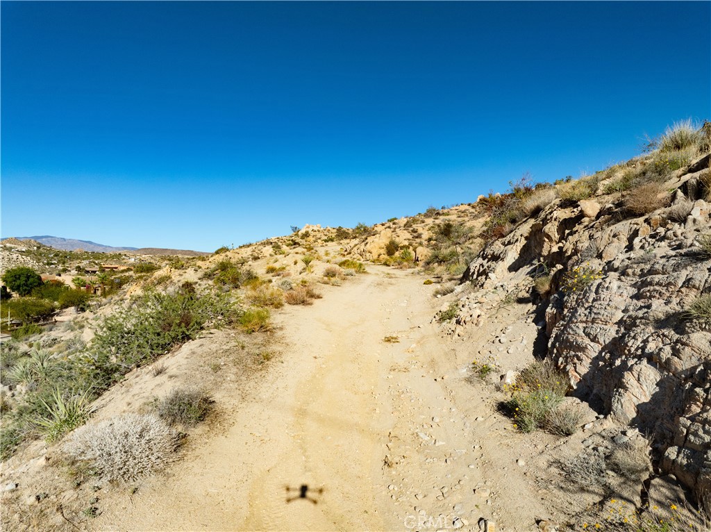 MLS #JT25252146 image #9