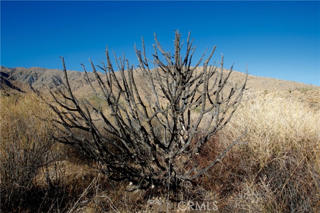 Detail Gallery Image 17 of 18 For 5821711 Big Morongo Canyon Rd, Morongo Valley,  CA 92256 - – Beds | – Baths