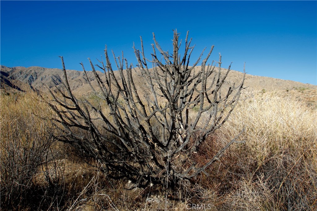 MLS #OC25240142 image #16