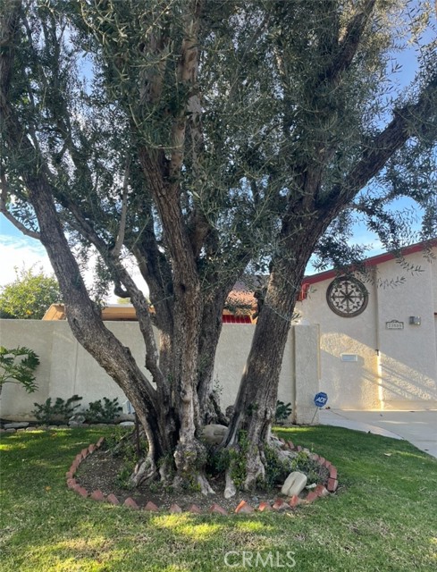 Detail Gallery Image 3 of 50 For 23509 via Chantilly, Valencia,  CA 91355 - 2 Beds | 2 Baths