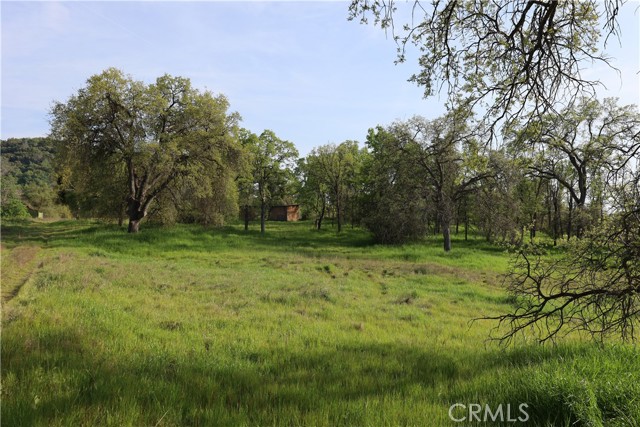 Detail Gallery Image 29 of 32 For 0 Douglas Rd, Coarsegold,  CA 93614 - – Beds | – Baths