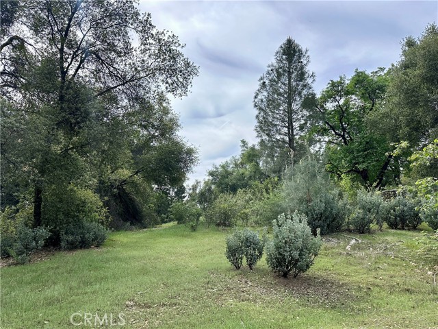 3038 Country Court, Mariposa CA: https://media.crmls.org/medias/ea8fd9e1-7cdc-4dcc-9cb4-83c58a329033.jpg