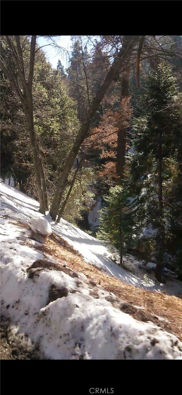0 Saxon, Crestline CA: https://media.crmls.org/medias/ea96e0d1-2797-4ec8-8b7c-67e8042ed307.jpg