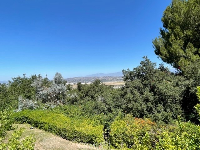 22809 Chardonnay Drive, Diamond Bar CA: https://media.crmls.org/medias/ea9dc70c-e6e3-45a2-a603-5357ccee2790.jpg