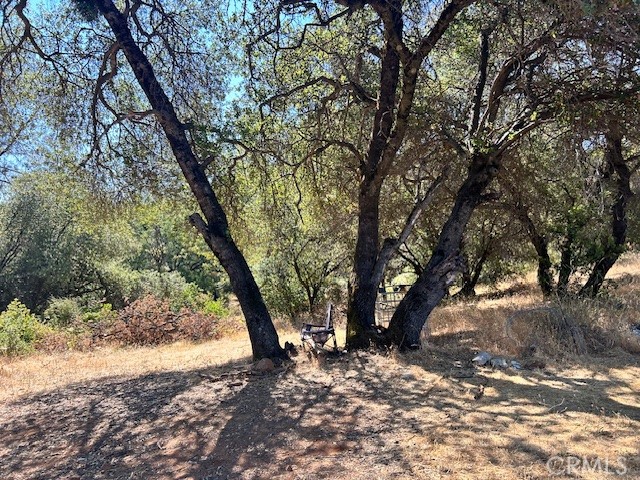 Detail Gallery Image 9 of 21 For 1403 Forbestown, Oroville,  CA 95966 - – Beds | – Baths