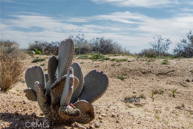 Detail Gallery Image 17 of 18 For 55875 Desideria Dr, Landers,  CA 92285 - – Beds | – Baths