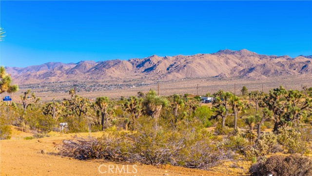 Detail Gallery Image 52 of 75 For 58871 Meredith Ct, Yucca Valley,  CA 92284 - 3 Beds | 2 Baths