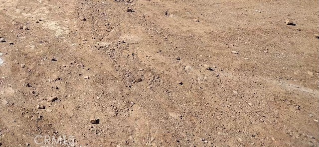 Front Image Thumbnail for CRPW26066627