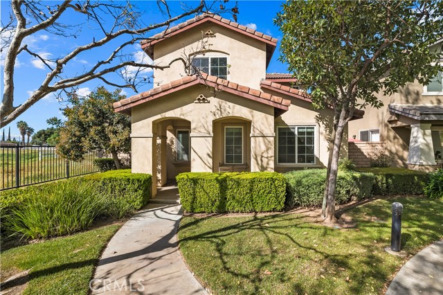 Front Image Thumbnail for CROC26035267