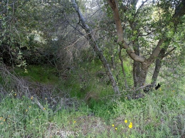 Detail Gallery Image 17 of 64 For 37 Lynx Ln, Prather,  CA 93651 - – Beds | – Baths