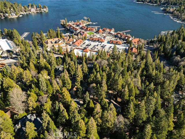 Detail Gallery Image 30 of 30 For 252 Crest Cir, Lake Arrowhead,  CA 92352 - 3 Beds | 2 Baths