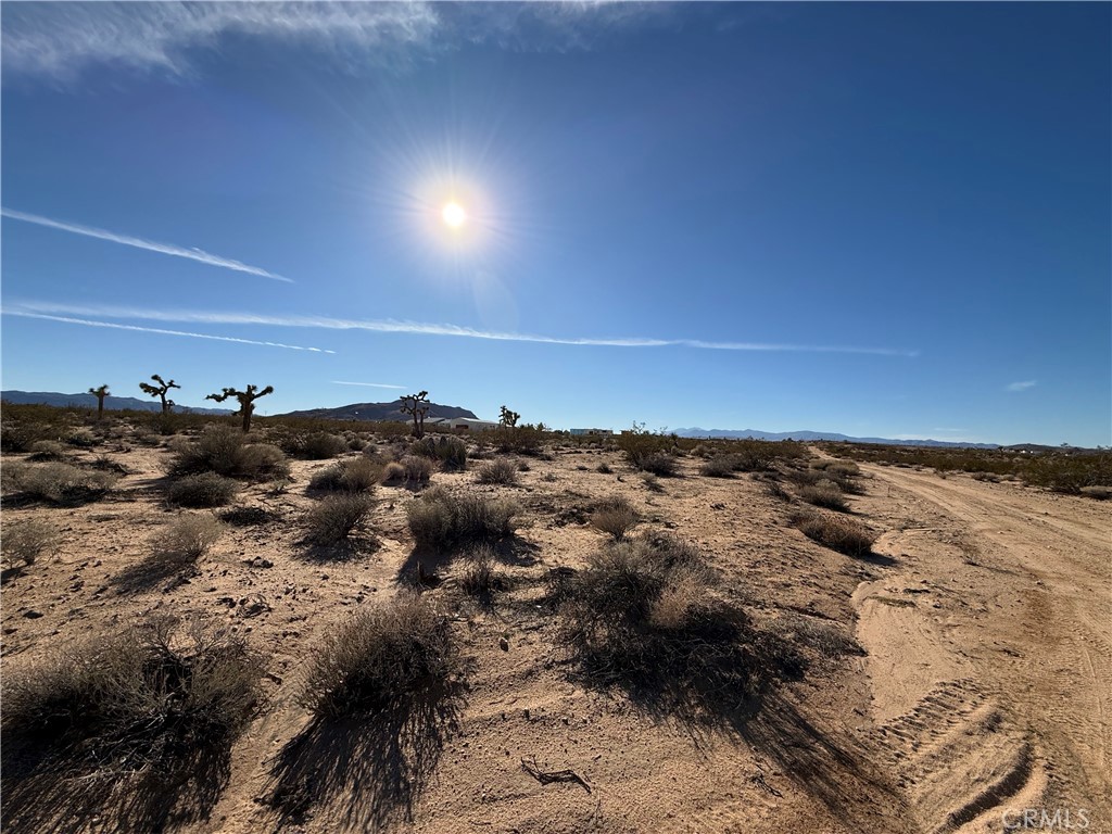 MLS #JT25255636 image #1