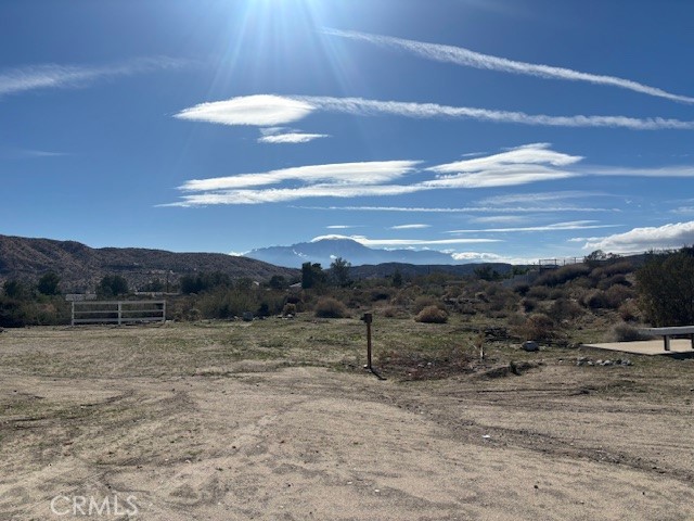 MLS #JT25263914 image #9