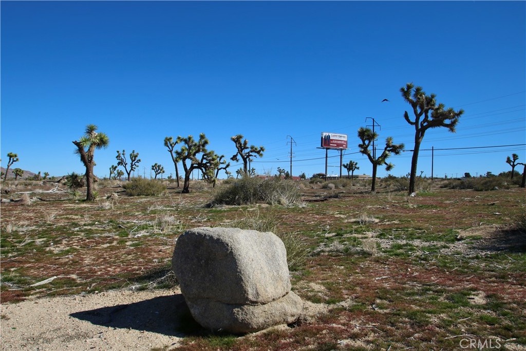 1234 Twentynine Palms Hwy.